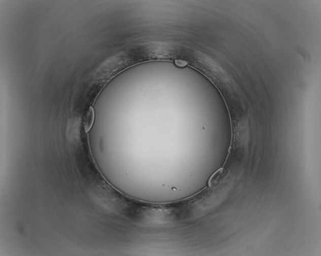 X0000115240217200911131711
