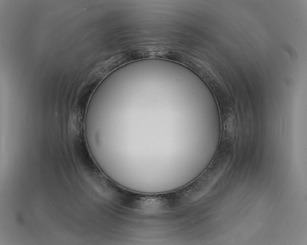 X0000115240218200911131711