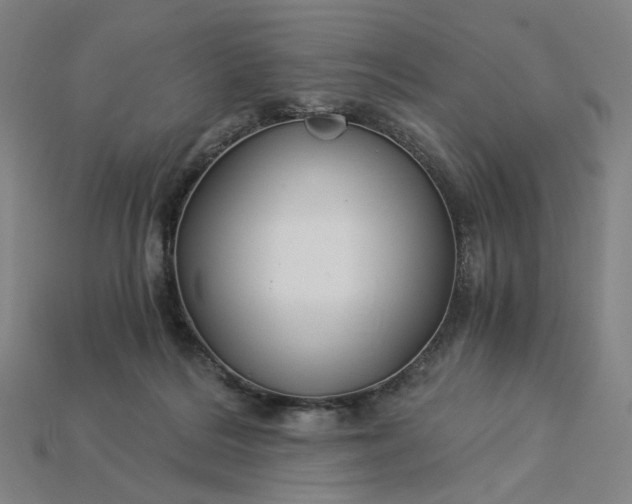 X0000115240220200911131711