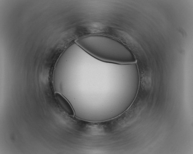 X0000115240221200911131711