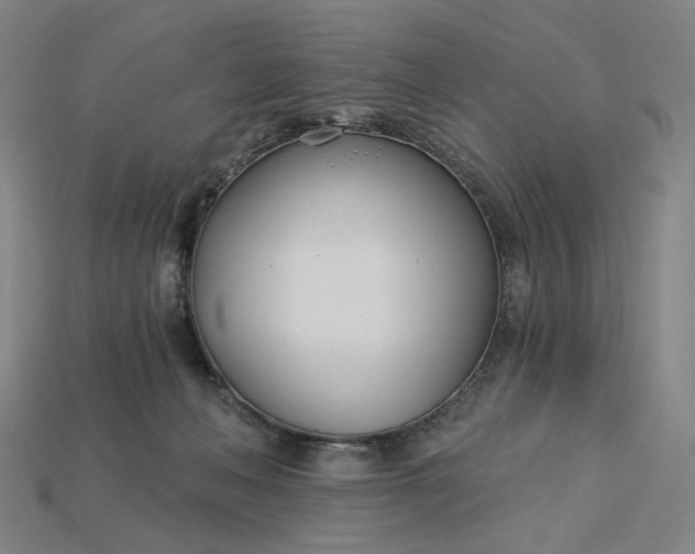 X0000115240222200911131711