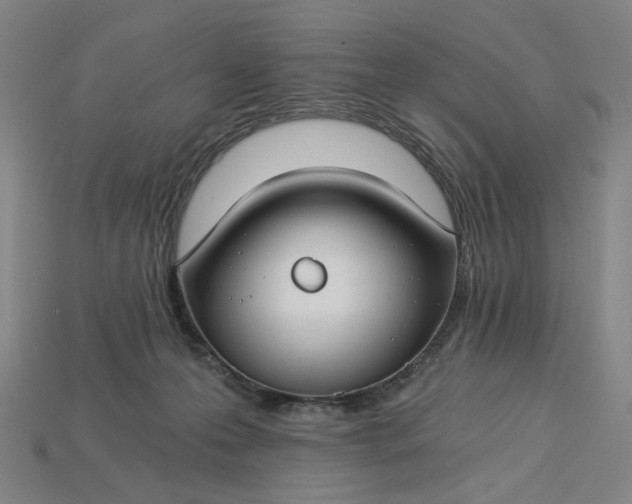 X0000115240223200911131711