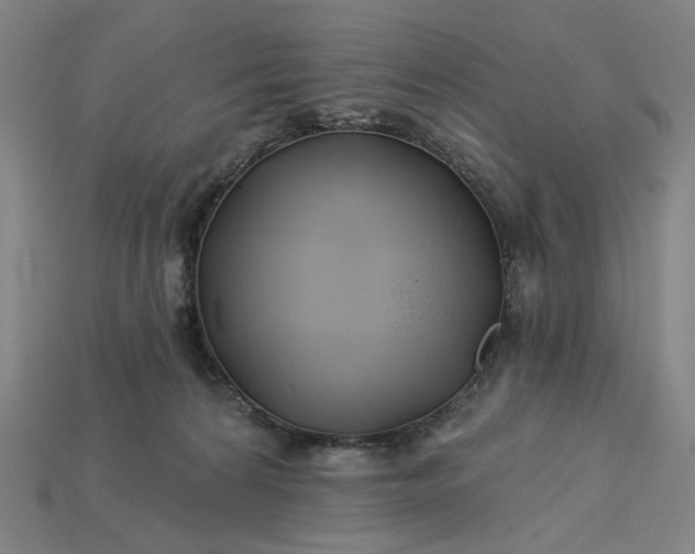 X0000115240224200911131711
