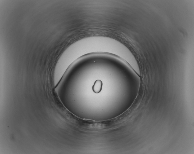 X0000115240225200911131711