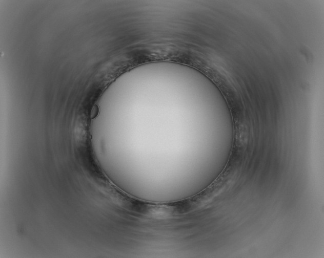 X0000115240226200911131711