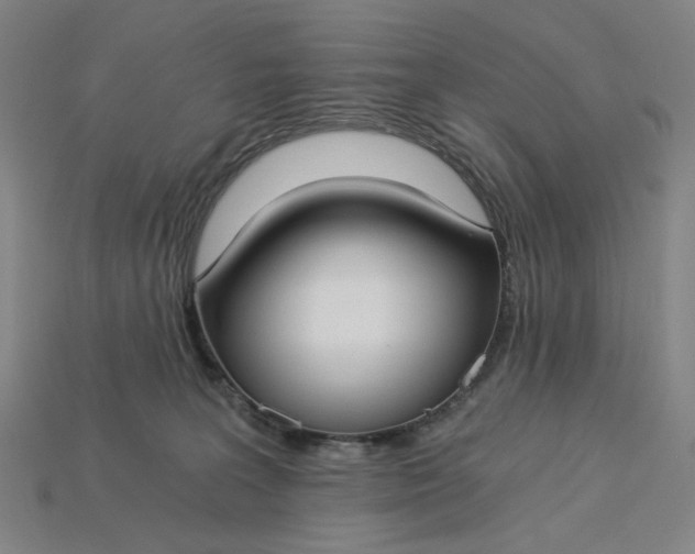 X0000115240227200911131711