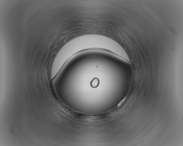 X0000115240229200911131711