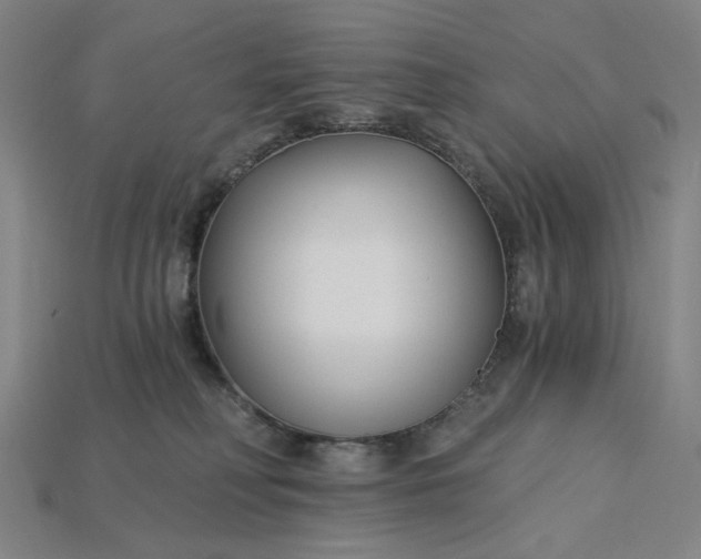 X0000115240230200911131711