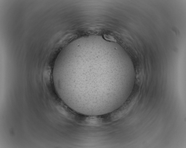 X0000115240231200911131711