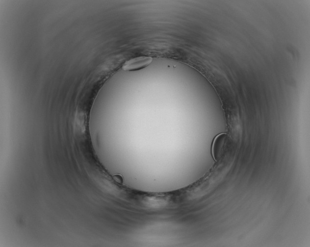 X0000115240232200911131711
