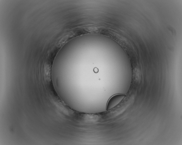 X0000115240234200911131711