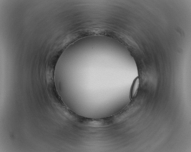 X0000115240236200911131710