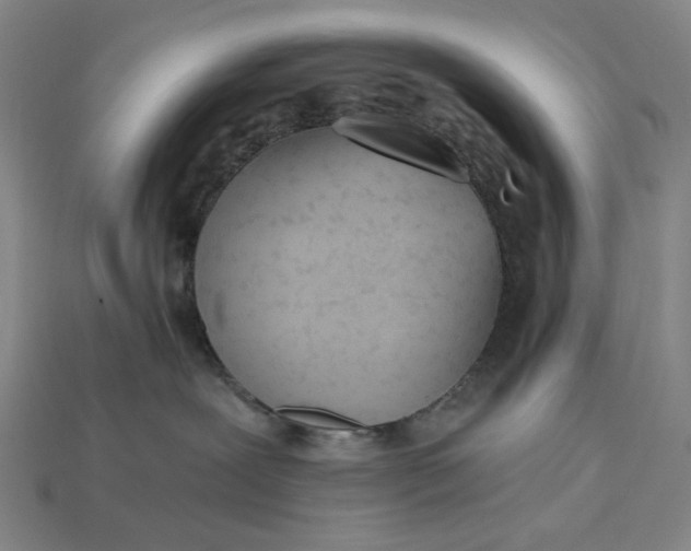 X0000115240239200911131710