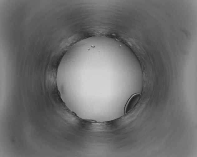 X0000115240240200911131710