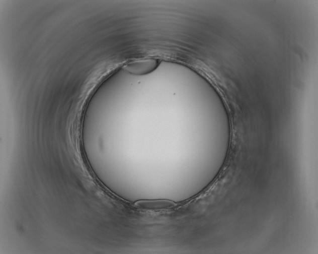 X0000115240241200911131710