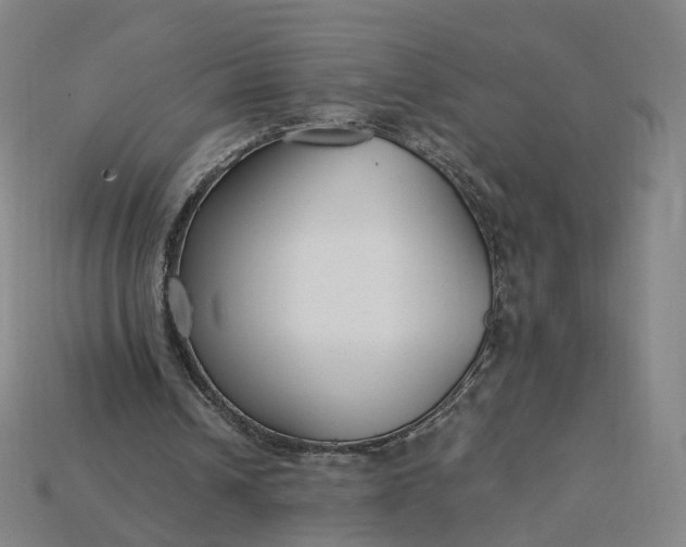 X0000115240242200911131710