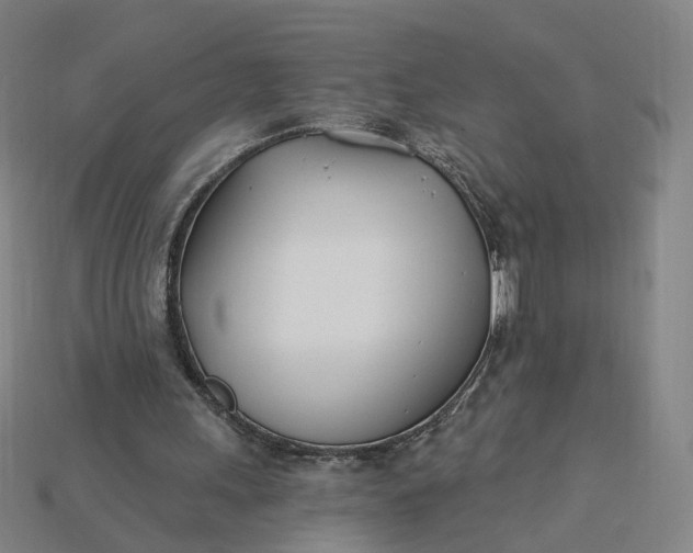 X0000115240243200911131710
