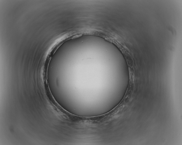 X0000115240244200911131710