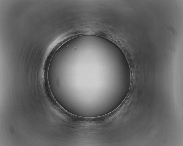 X0000115240246200911131710