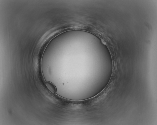 X0000115240247200911131710
