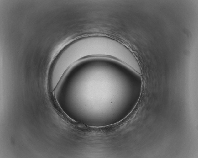 X0000115240248200911131710