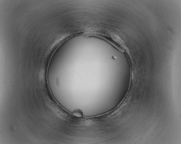 X0000115240249200911131710