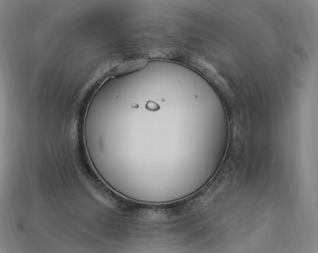 X0000115240250200911131710