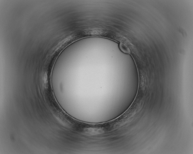 X0000115240251200911131710
