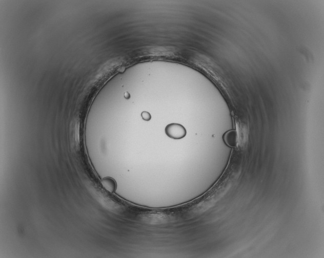 X0000115240253200911131710