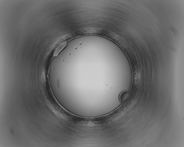 X0000115240254200911131710