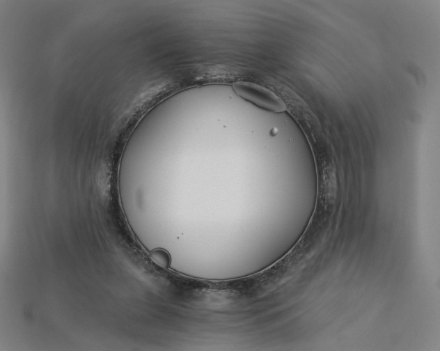 X0000115240255200911131710