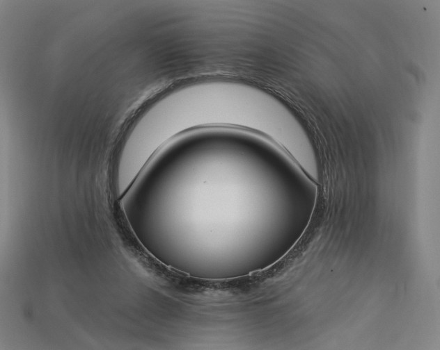 X0000115240256200911131710