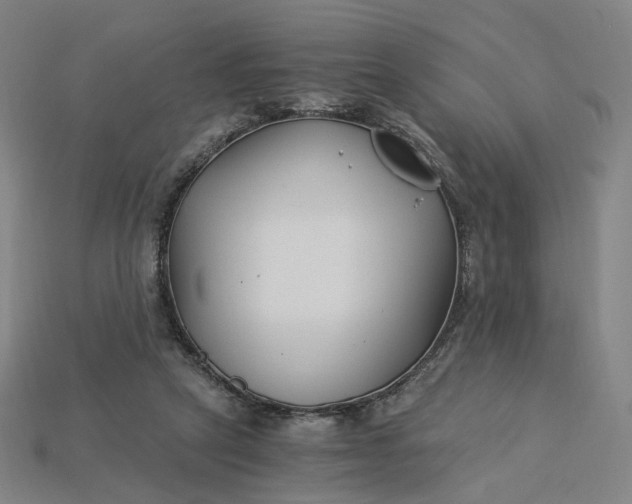 X0000115240257200911131710