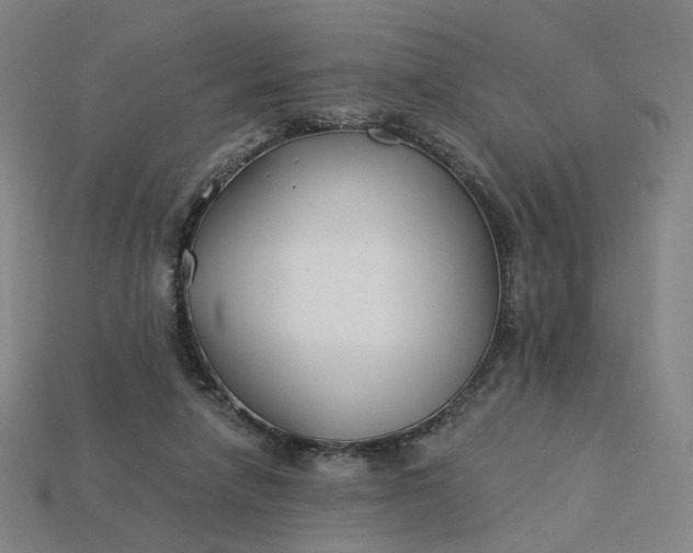 X0000115240258200911131710