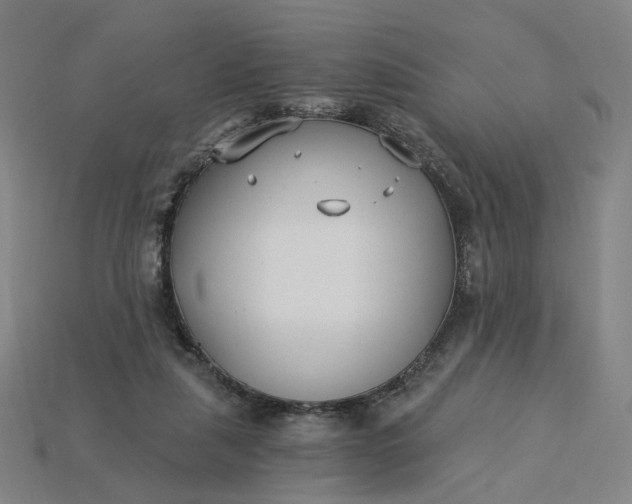 X0000115240259200911131710