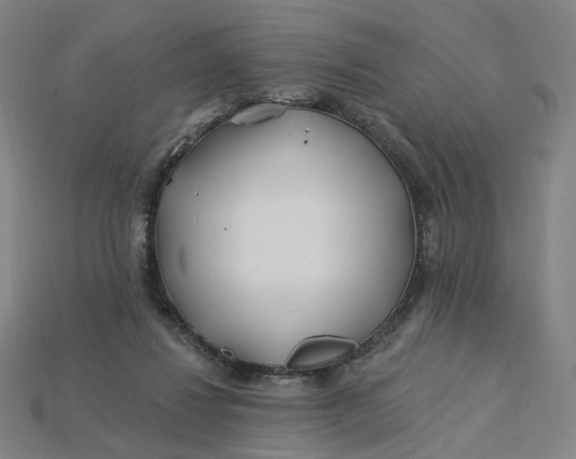 X0000115240260200911131710