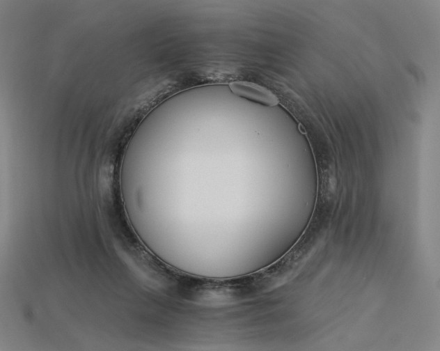 X0000115240263200911131710