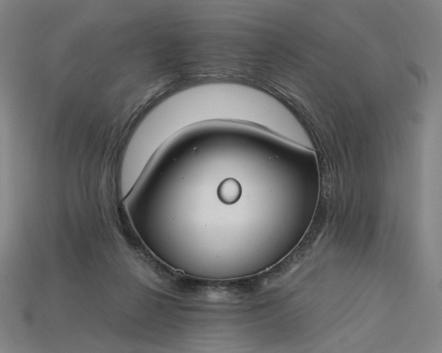 X0000115240264200911131710