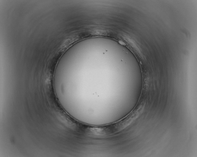 X0000115240265200911131710