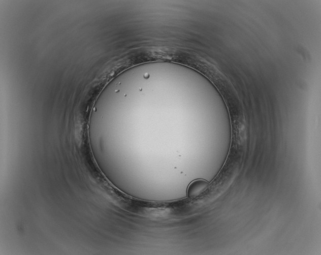 X0000115240266200911131710