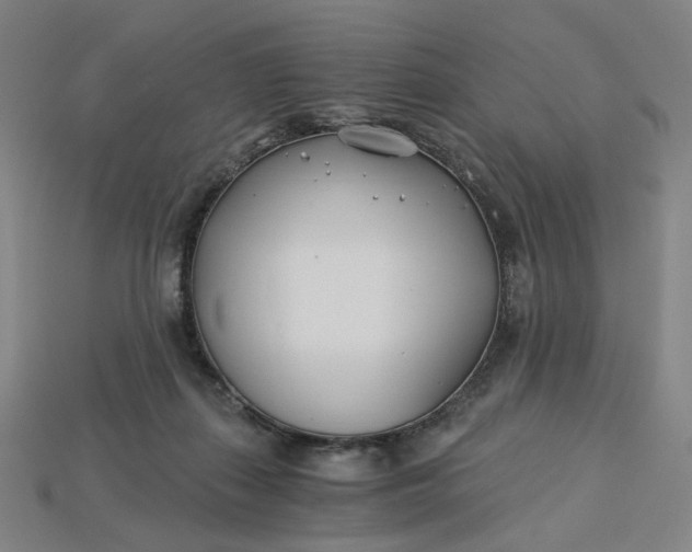 X0000115240267200911131710