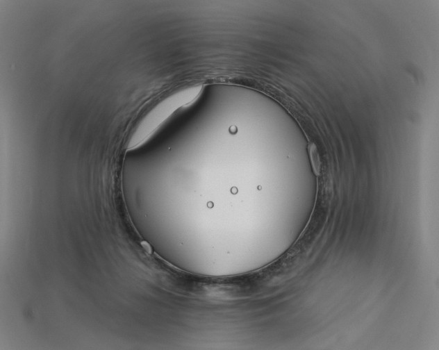 X0000115240268200911131710