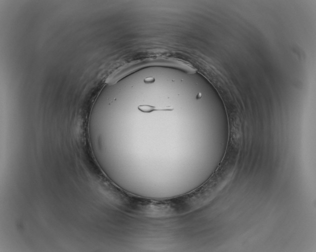 X0000115240270200911131710