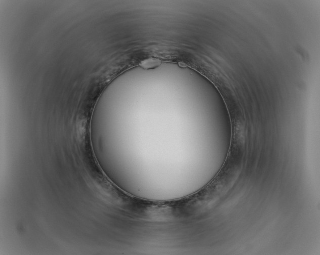 X0000115240271200911131710