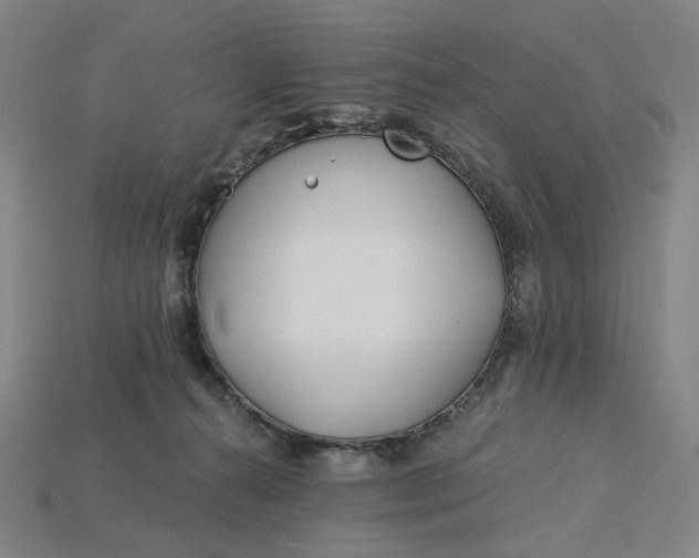 X0000115240272200911131710