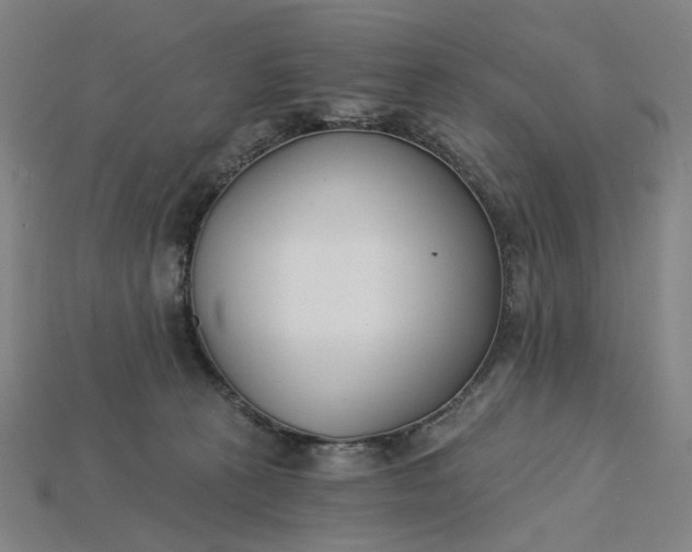 X0000115240273200911131710