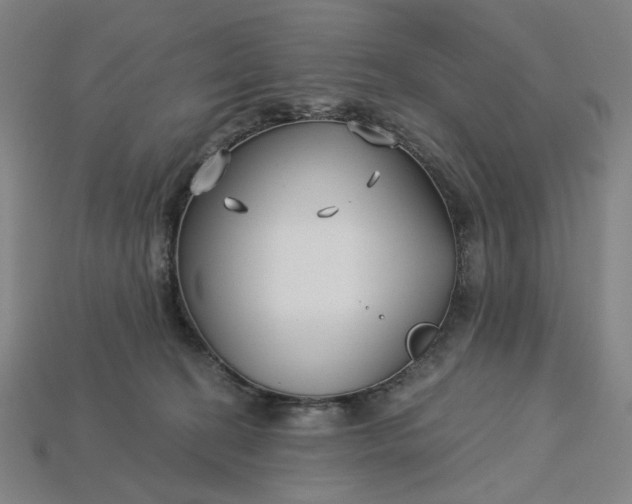 X0000115240274200911131710