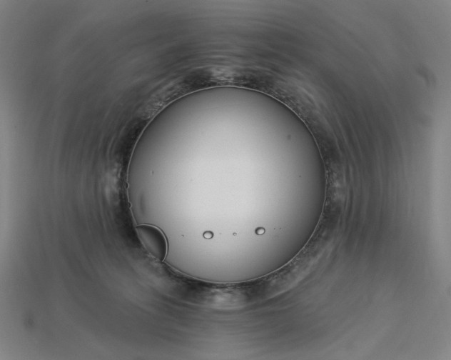X0000115240275200911131710