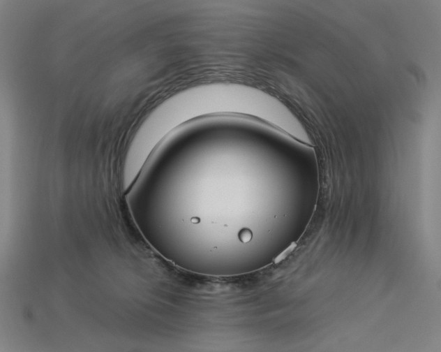 X0000115240276200911131710