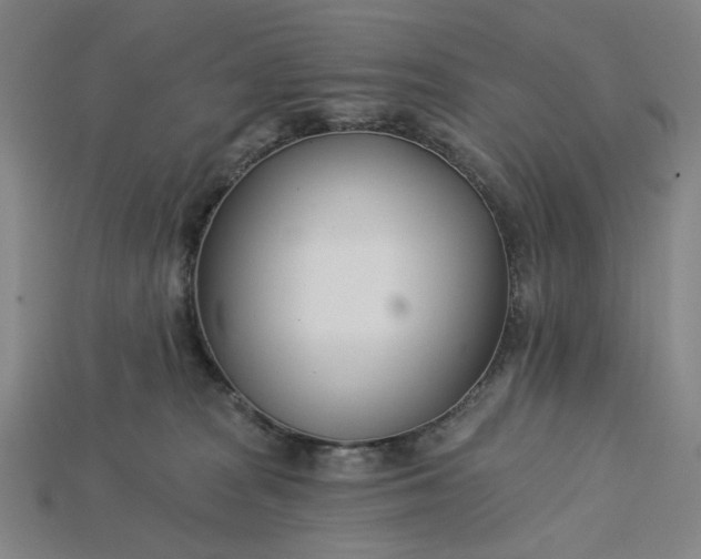 X0000115240277200911131710